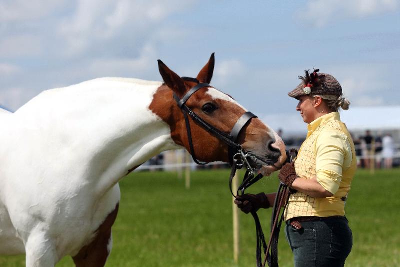 Why Oxydane is the Best Daily Nutritional Support for Your Horse