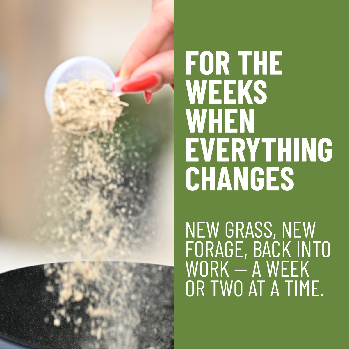 Detox | Support Through Times of Change