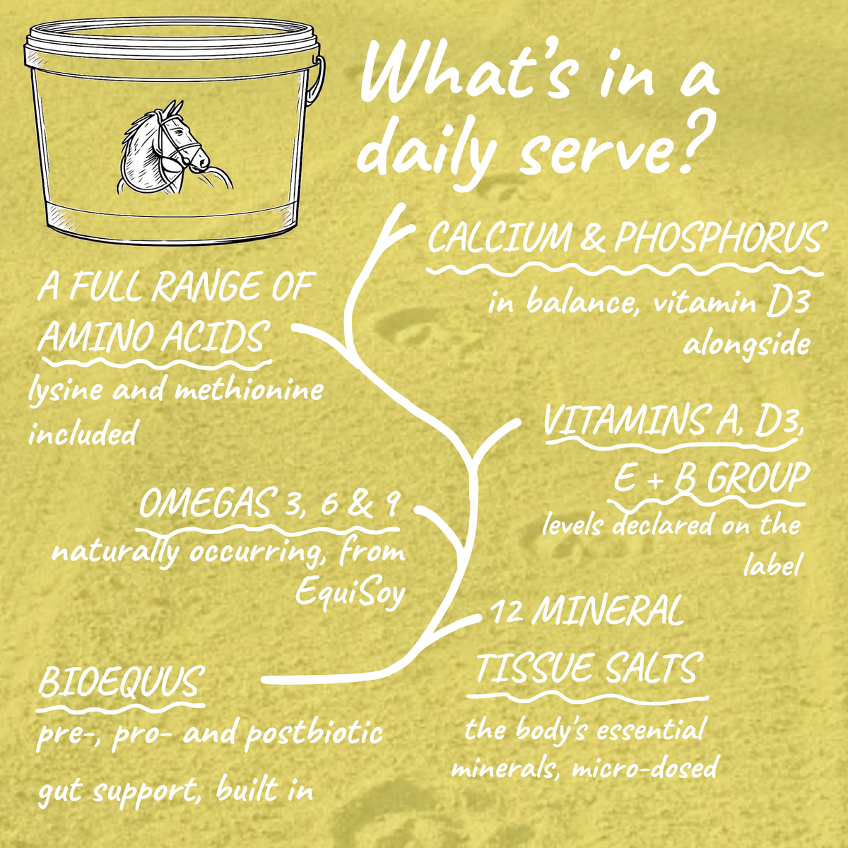 BreedPlus | Breeding & Youngstock Daily Formula