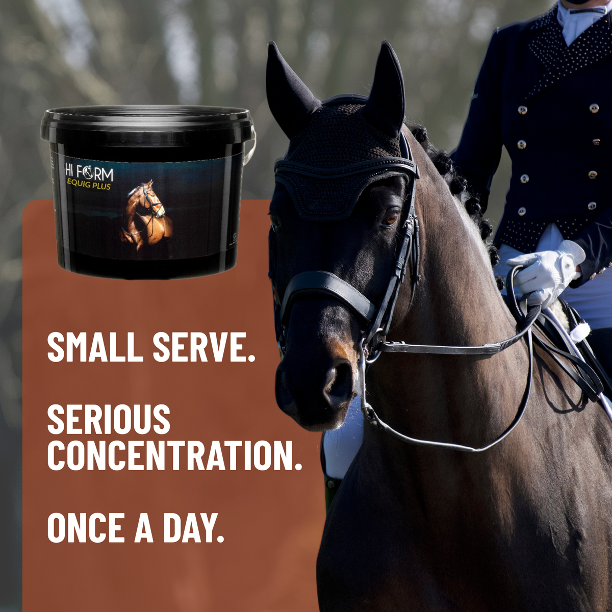 EquiG Plus | Concentrated Joint & Muscle Support