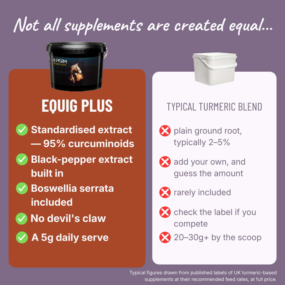 EquiG Plus | Concentrated Joint & Muscle Support