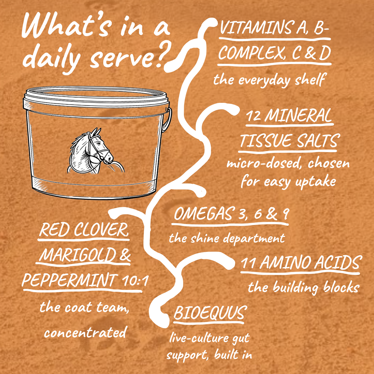 LeisureVit | Daily Vitamins & Minerals for Leisure Horses