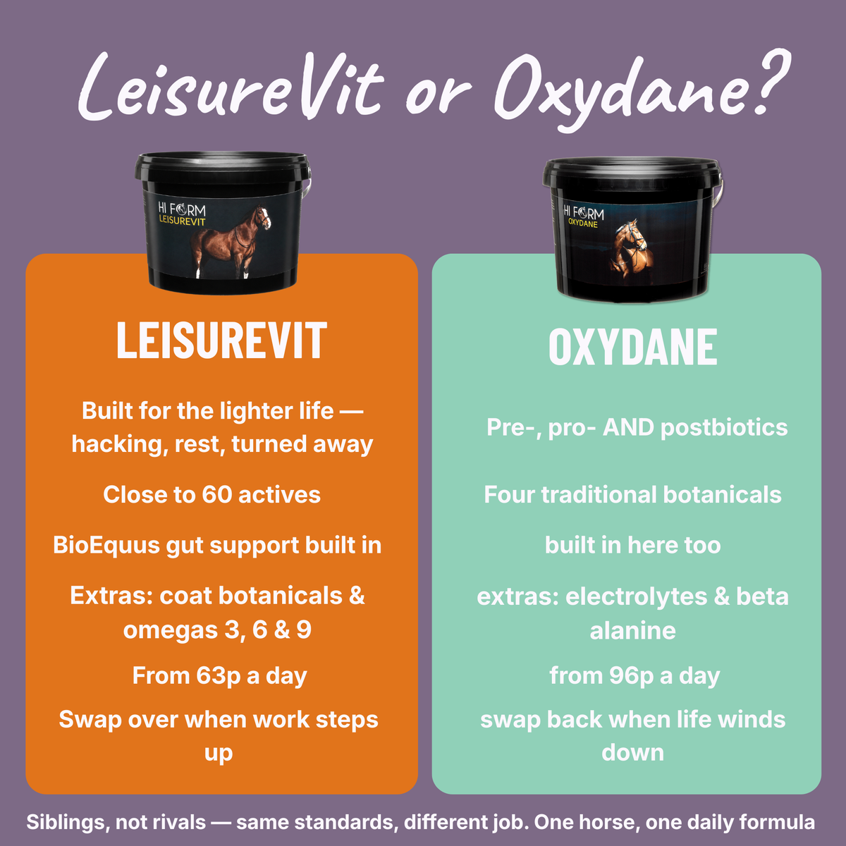 LeisureVit | Daily Vitamins & Minerals for Leisure Horses