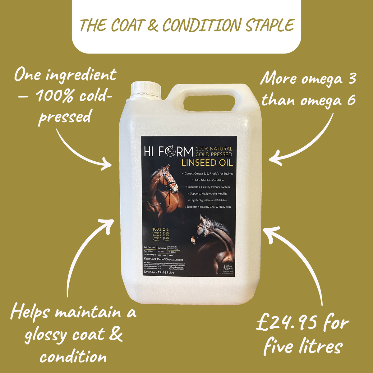 100% Natural Linseed Oil | Glossy Coat & Condition
