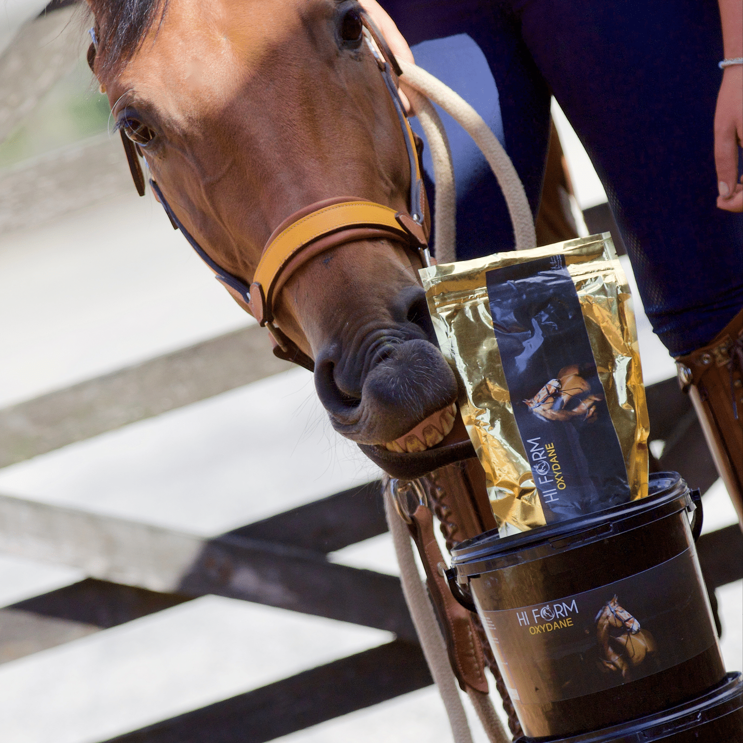 Hi Form Proflamaid Plus - Image 3