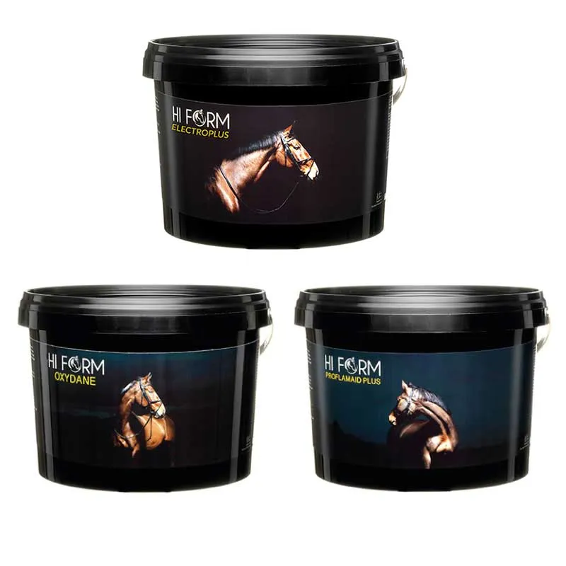 Hi Form Summer Bundle