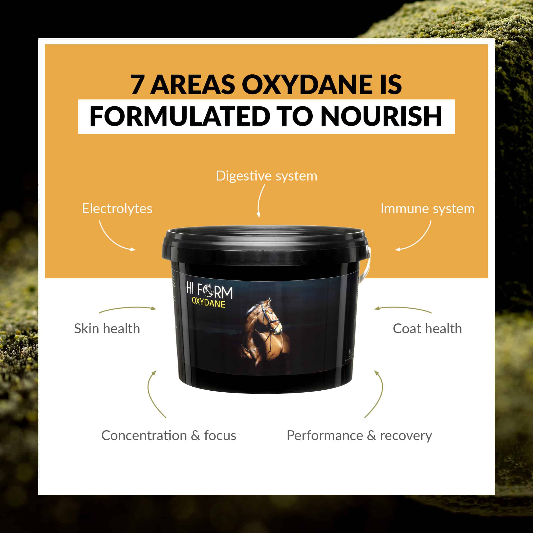 Hi Form Spring Shine Bundle - Image 4
