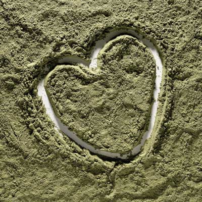 Hi Form Spring Shine Bundle - Image 2