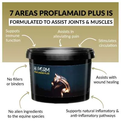 Hi Form Spring Shine Bundle - Image 3