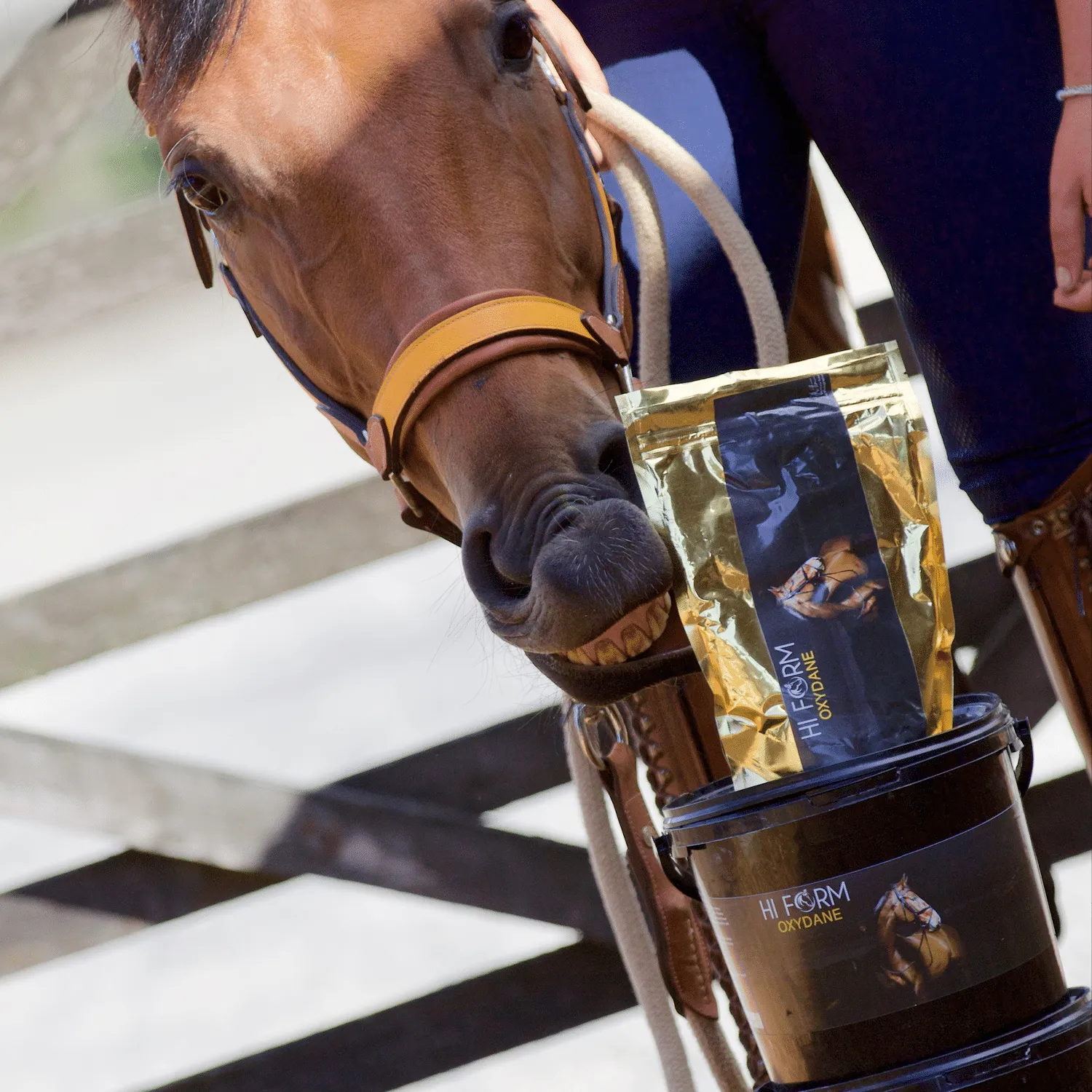 Hi Form Oxydane Monthly Subscription - Image 4