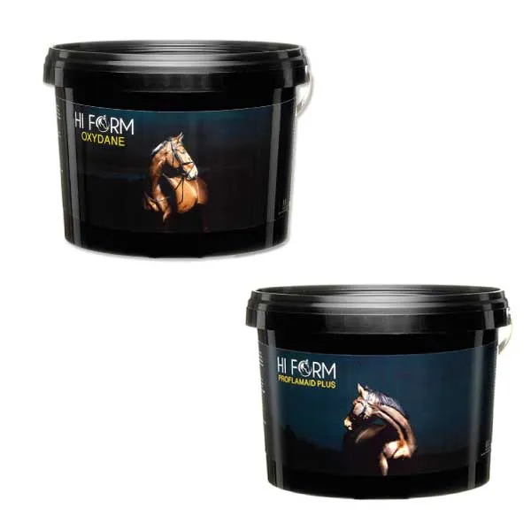 Essential-Everyday Subscription