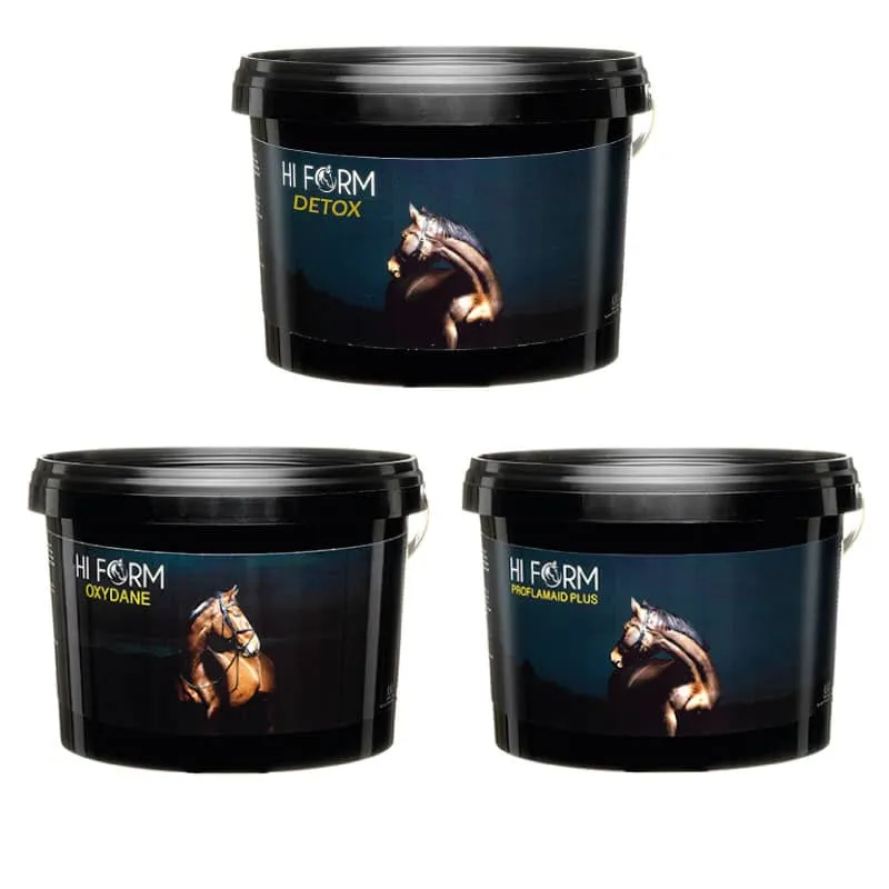 Hi Form Spring Shine Bundle