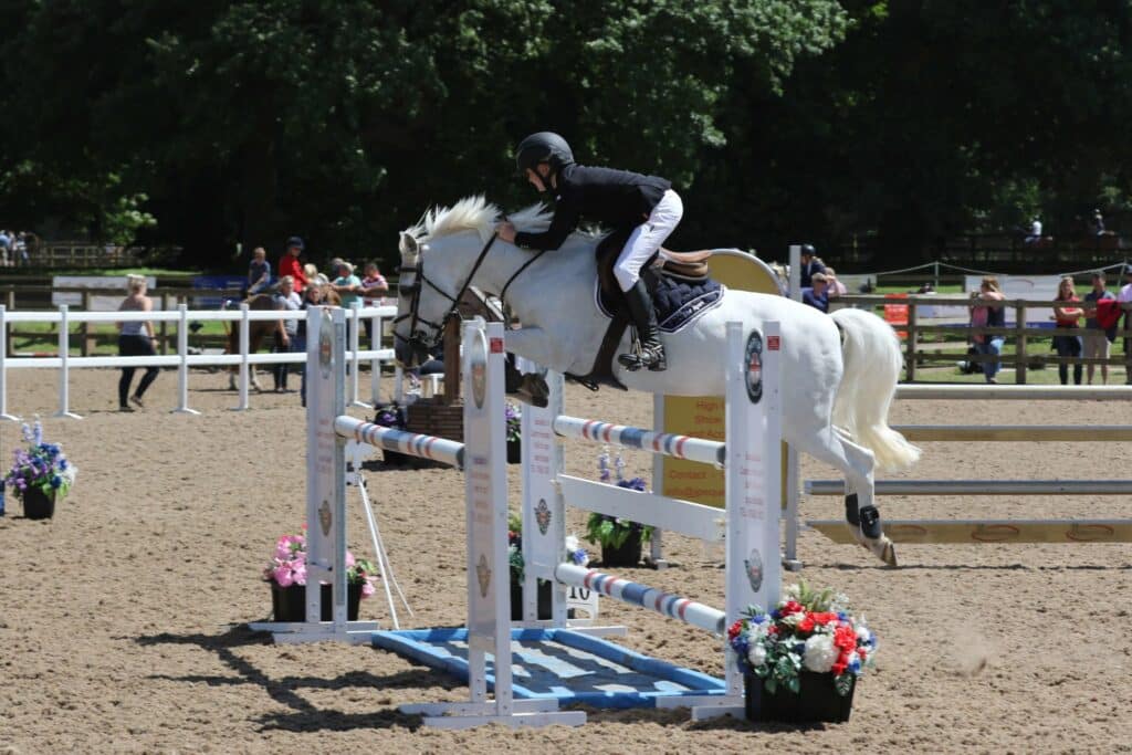 Hi Form Equine – Premium Horse Supplements