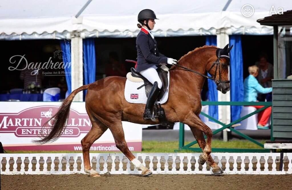 Hi Form Equine – Premium Horse Supplements