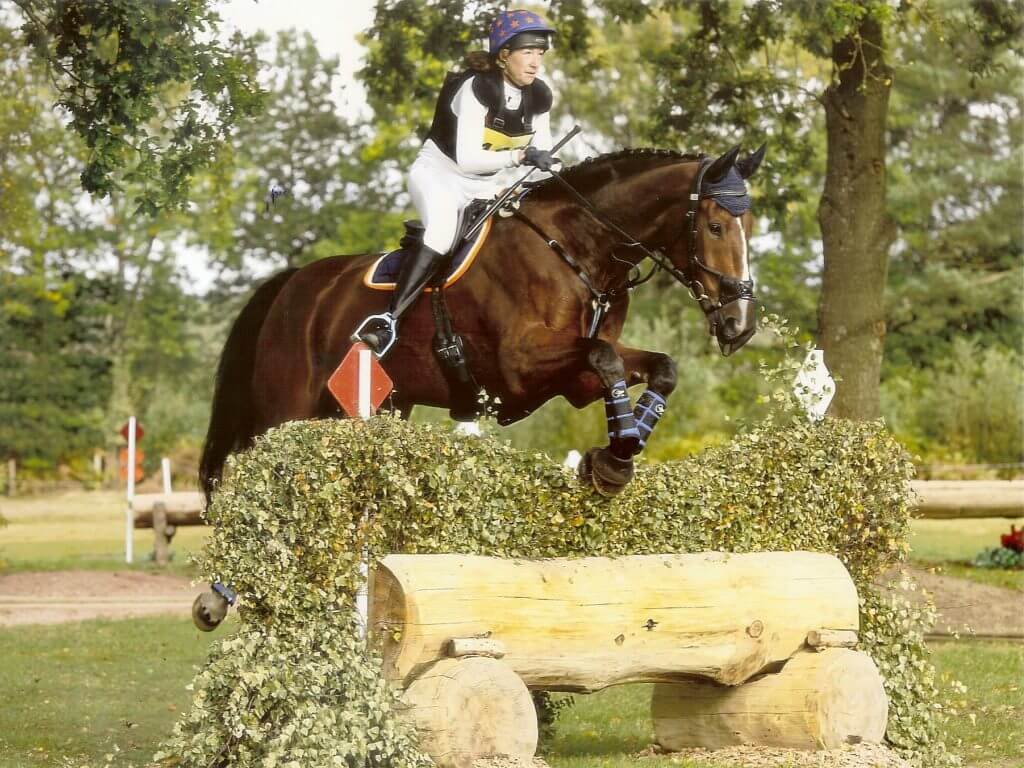 Hi Form Equine – Premium Horse Supplements