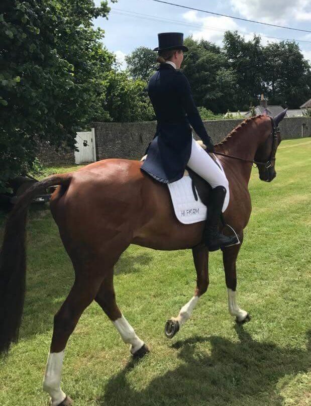 Hi Form Equine – Premium Horse Supplements