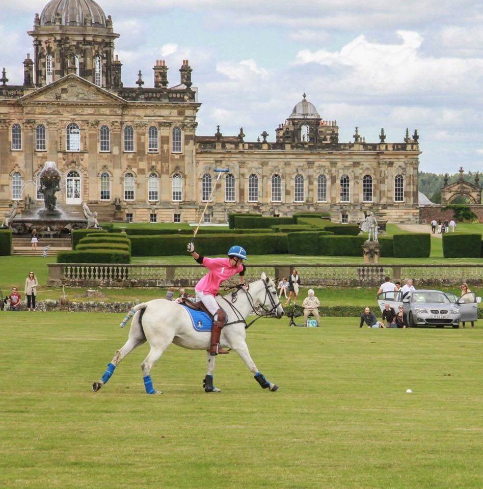 Hi Form Equine – Premium Horse Supplements