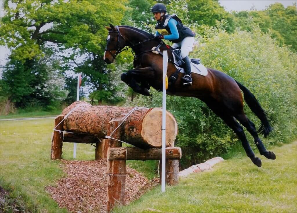 Hi Form Equine – Premium Horse Supplements