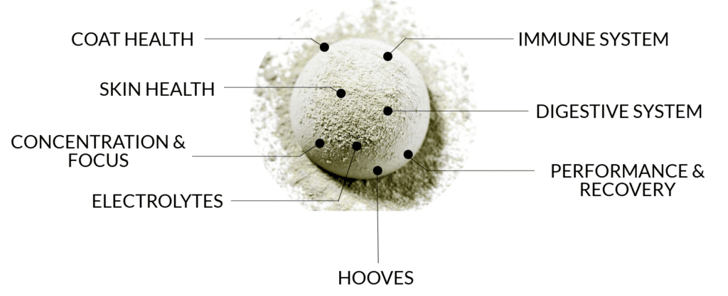 Benefits of Hi Form Oxydane Daily Supplement