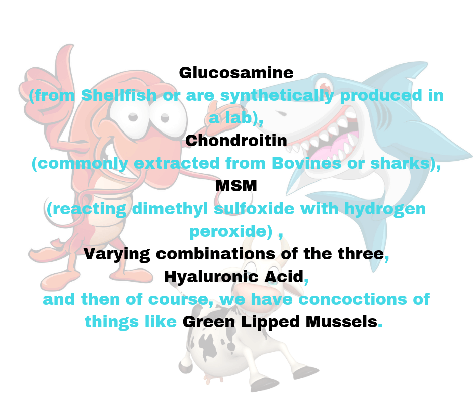 Hi Form Equine – Premium Horse Supplements