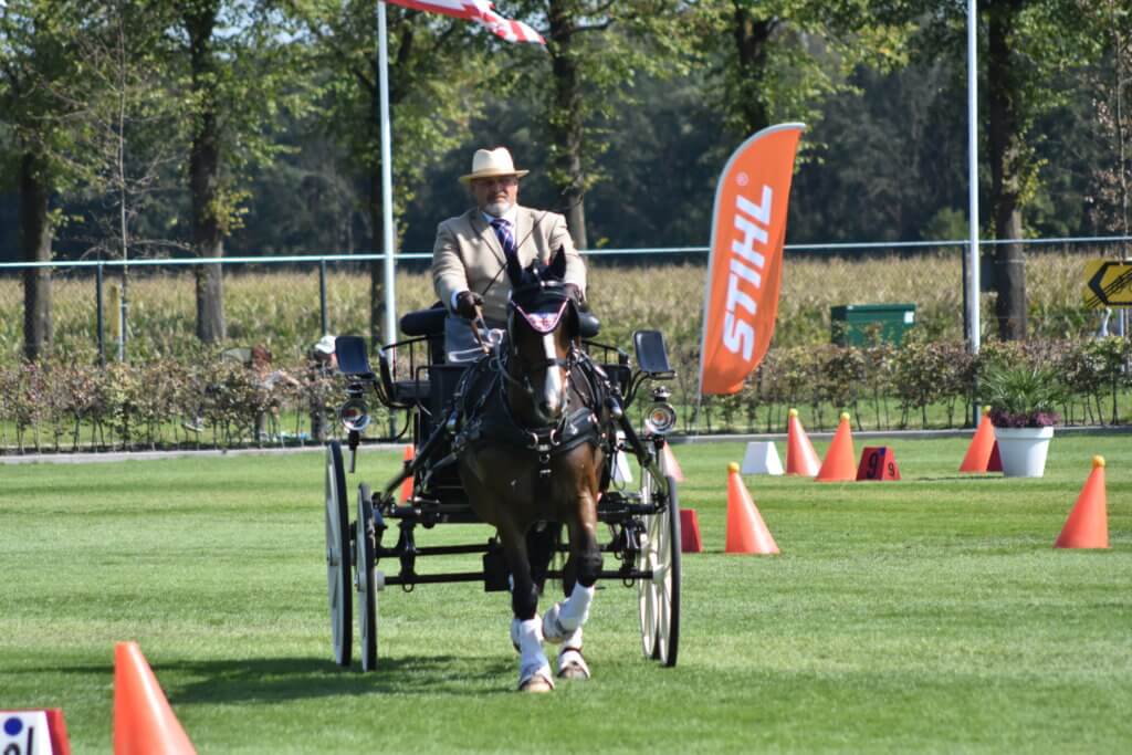 Hi Form Equine – Premium Horse Supplements