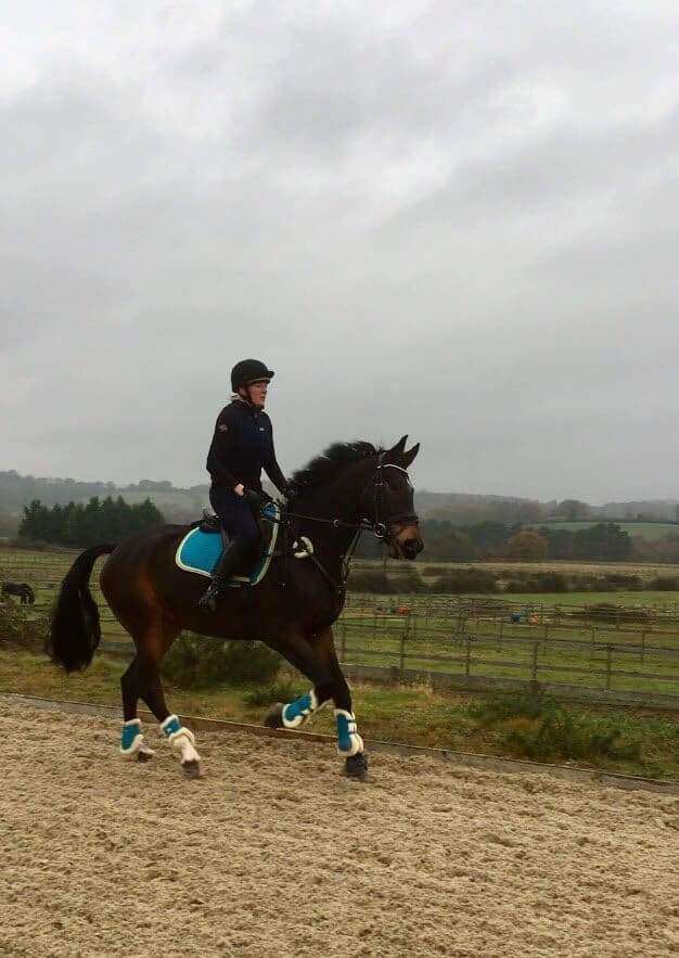 Hi Form Equine – Premium Horse Supplements