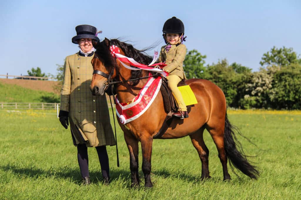 Hi Form Equine – Premium Horse Supplements