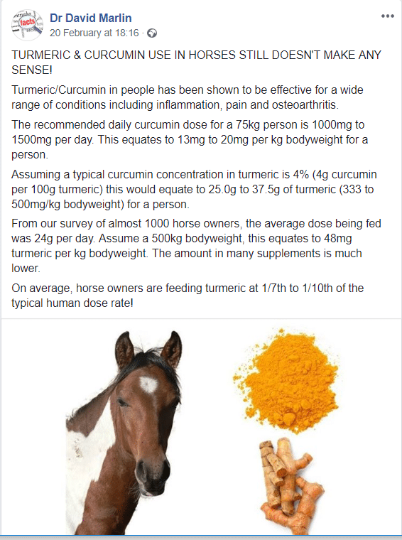 Hi Form Equine – Premium Horse Supplements