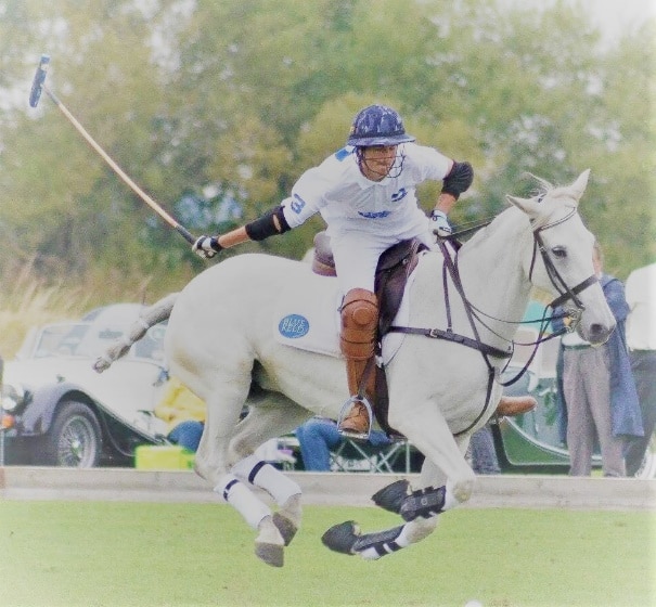 Hi Form Equine – Premium Horse Supplements