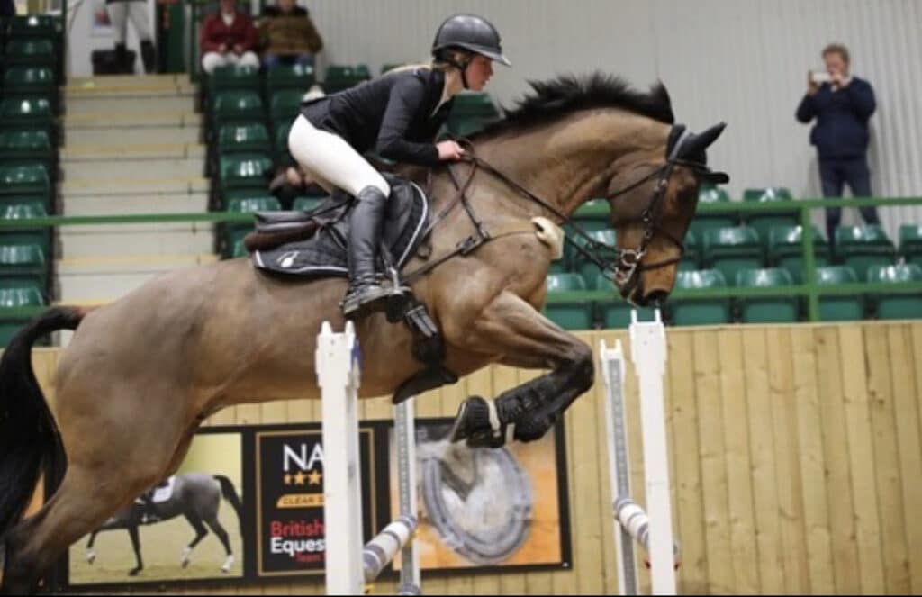 Hi Form Equine – Premium Horse Supplements