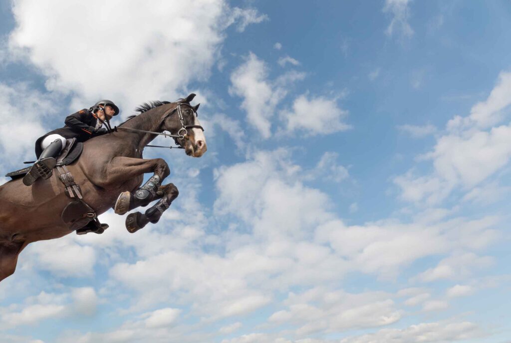 Hi Form Equine – Premium Horse Supplements